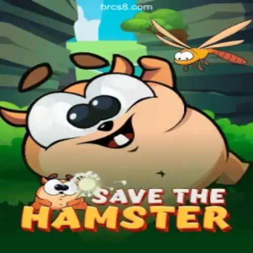 Adventure and Strategy in SavetheHamster – A Captivating Gaming Experience
